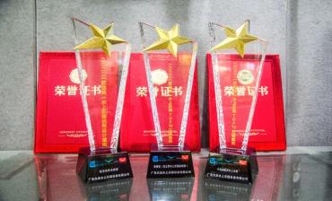 Guangdong Dalang Won the 2022 Craftsman Pool Award